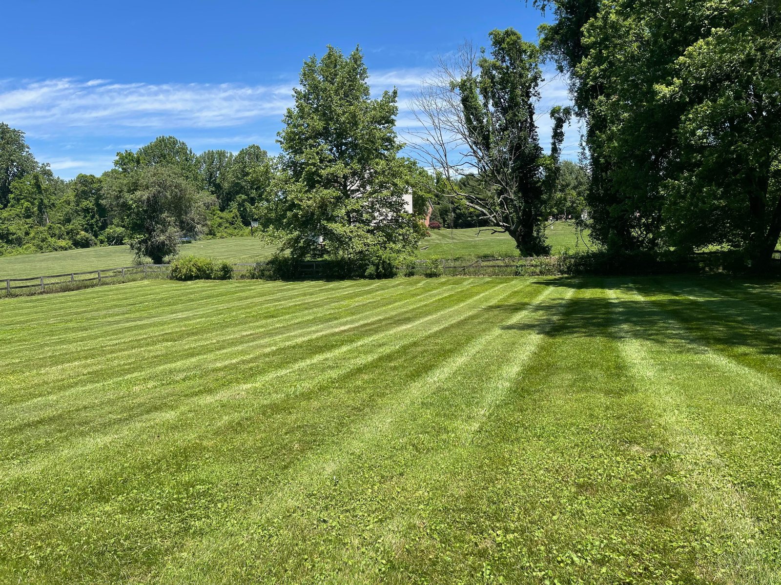 Lawn mowing